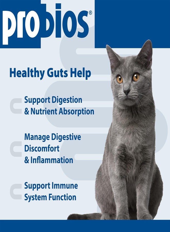 Probios Intelliflora for Cats, Daily Probiotic Powder, Nutritional Supplement for Gut Health, Digestion & Immune Support, 30 sachets (Pack of 2) - Image 3